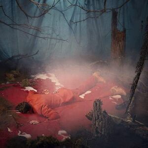 The Kernal - Listen To The Blood  CD